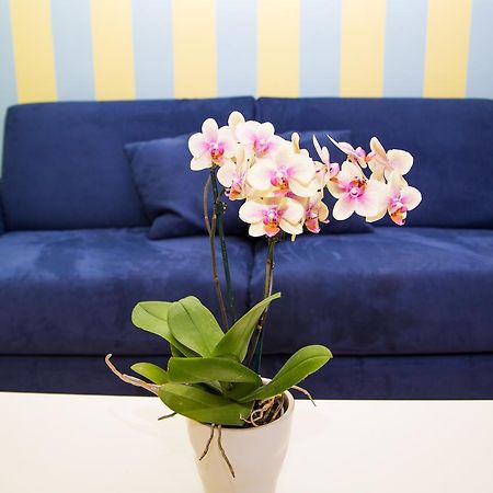 Lemon Flats Sorrento Bed and Breakfast Buitenkant foto